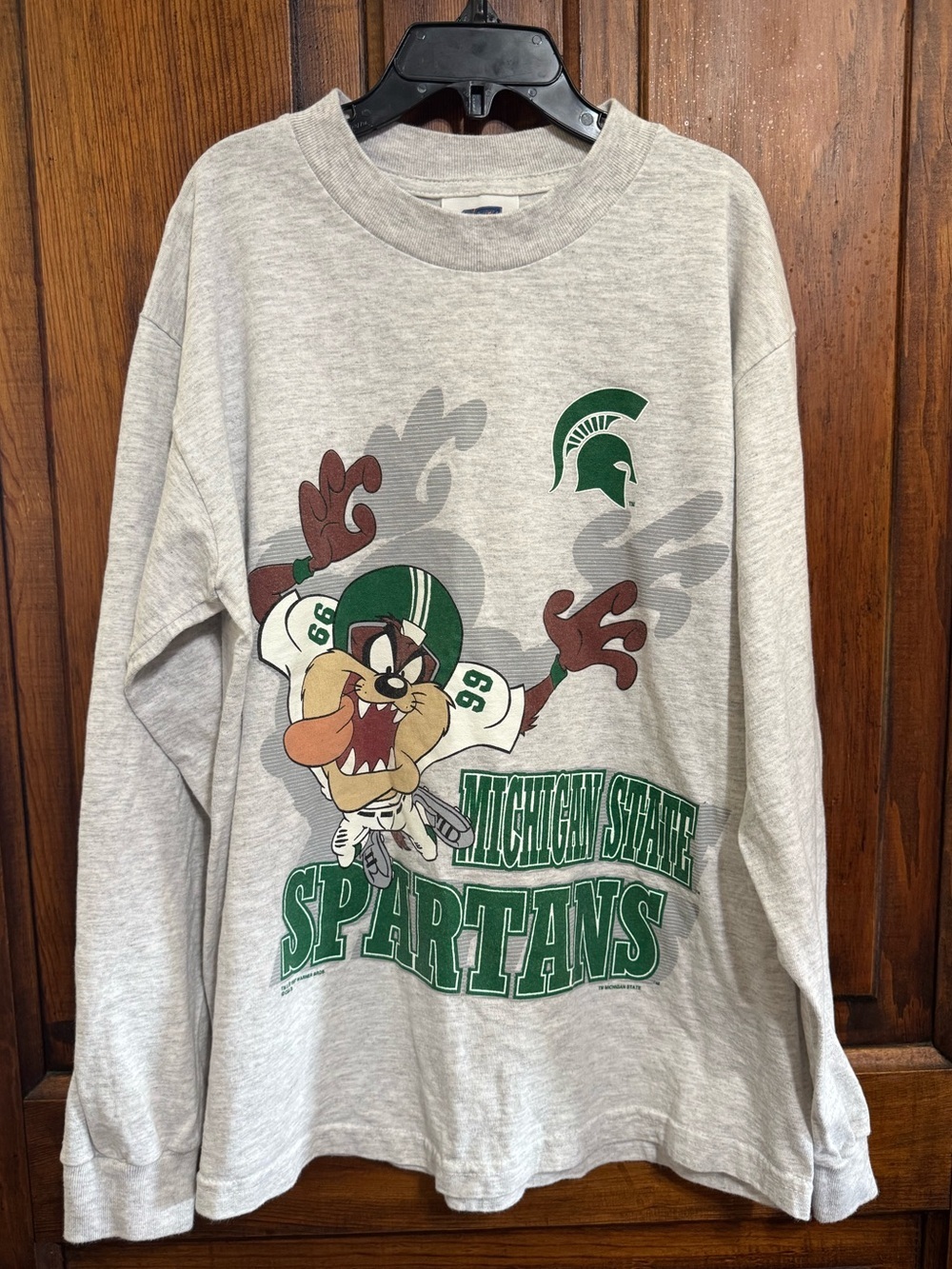 Kids Michigan State Spartans Gray Long Sleeve T-Shirt 10/12 Looney Tunes Taz
